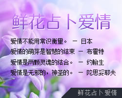 鮮花占卜愛情